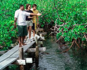 Travel to Fiji to Help Protect the Environment